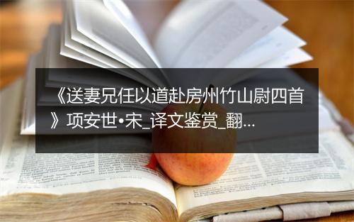 《送妻兄任以道赴房州竹山尉四首》项安世•宋_译文鉴赏_翻译赏析