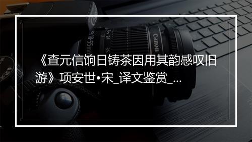 《查元信饷日铸茶因用其韵感叹旧游》项安世•宋_译文鉴赏_翻译赏析