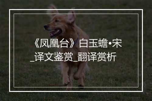 《凤凰台》白玉蟾•宋_译文鉴赏_翻译赏析