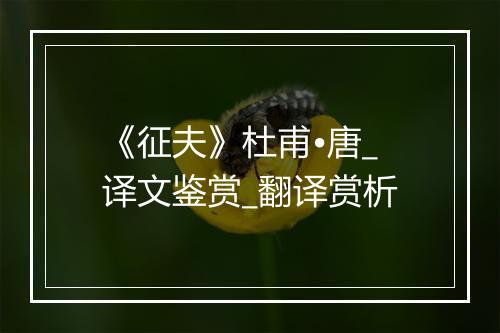 《征夫》杜甫•唐_译文鉴赏_翻译赏析