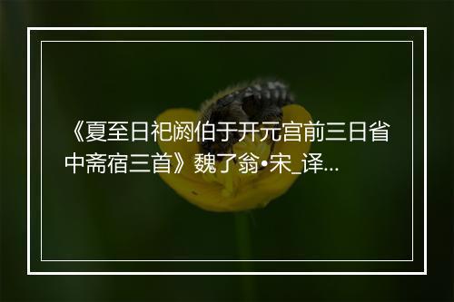 《夏至日祀阏伯于开元宫前三日省中斋宿三首》魏了翁•宋_译文鉴赏_翻译赏析