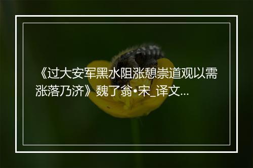 《过大安军黑水阻涨憩崇道观以需涨落乃济》魏了翁•宋_译文鉴赏_翻译赏析