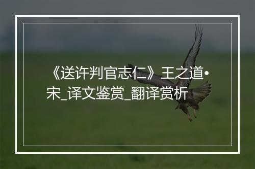 《送许判官志仁》王之道•宋_译文鉴赏_翻译赏析