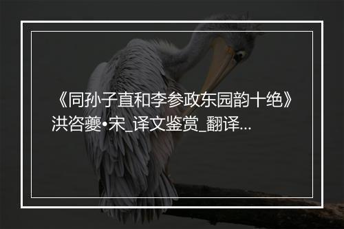 《同孙子直和李参政东园韵十绝》洪咨夔•宋_译文鉴赏_翻译赏析