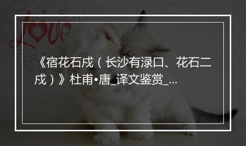 《宿花石戍（长沙有渌口、花石二戍）》杜甫•唐_译文鉴赏_翻译赏析