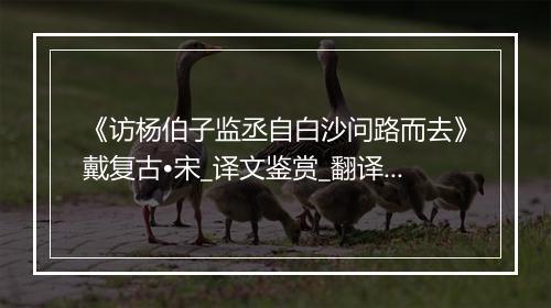 《访杨伯子监丞自白沙问路而去》戴复古•宋_译文鉴赏_翻译赏析