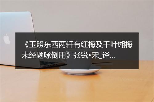 《玉照东西两轩有红梅及千叶缃梅未经题咏倒用》张镃•宋_译文鉴赏_翻译赏析