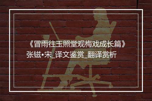 《冒雨往玉照堂观梅戏成长篇》张镃•宋_译文鉴赏_翻译赏析