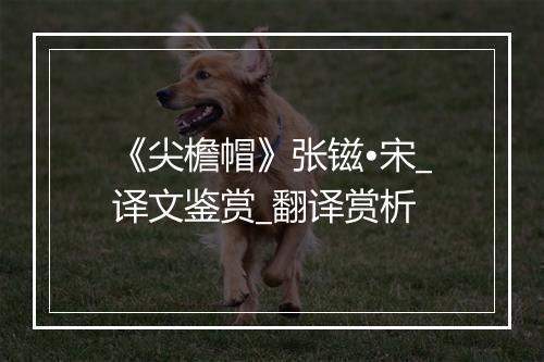 《尖檐帽》张镃•宋_译文鉴赏_翻译赏析