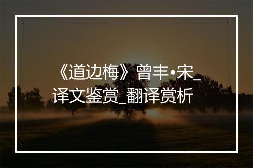 《道边梅》曾丰•宋_译文鉴赏_翻译赏析