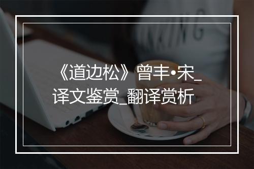 《道边松》曾丰•宋_译文鉴赏_翻译赏析