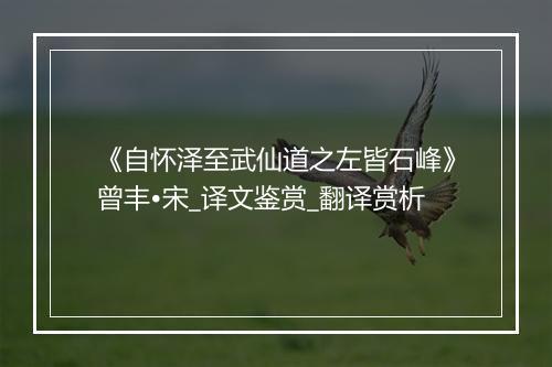 《自怀泽至武仙道之左皆石峰》曾丰•宋_译文鉴赏_翻译赏析