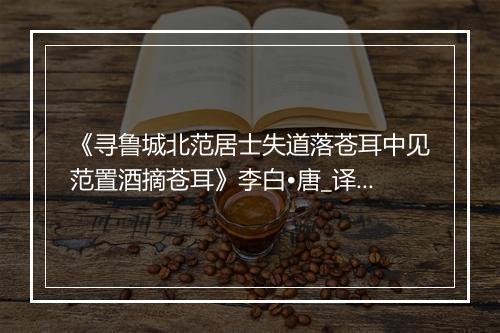 《寻鲁城北范居士失道落苍耳中见范置酒摘苍耳》李白•唐_译文鉴赏_翻译赏析