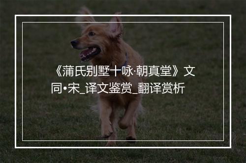 《蒲氏别墅十咏·朝真堂》文同•宋_译文鉴赏_翻译赏析