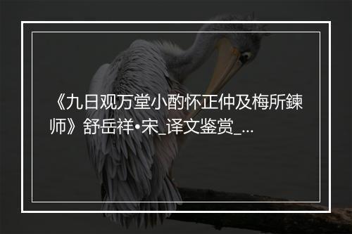 《九日观万堂小酌怀正仲及梅所鍊师》舒岳祥•宋_译文鉴赏_翻译赏析