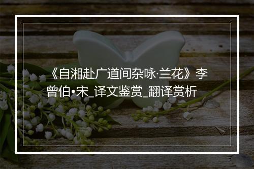 《自湘赴广道间杂咏·兰花》李曾伯•宋_译文鉴赏_翻译赏析