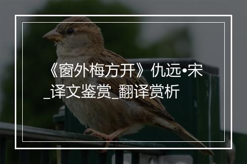 《窗外梅方开》仇远•宋_译文鉴赏_翻译赏析