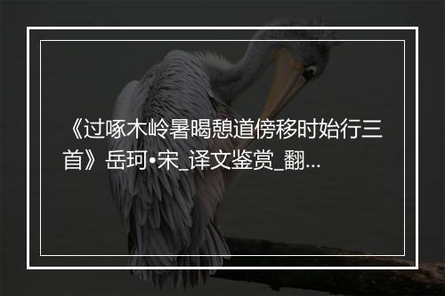 《过啄木岭暑暍憩道傍移时始行三首》岳珂•宋_译文鉴赏_翻译赏析