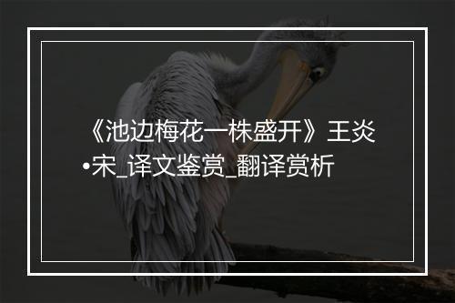 《池边梅花一株盛开》王炎•宋_译文鉴赏_翻译赏析