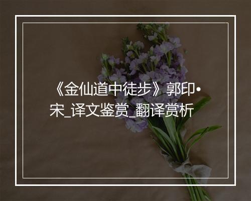 《金仙道中徒步》郭印•宋_译文鉴赏_翻译赏析