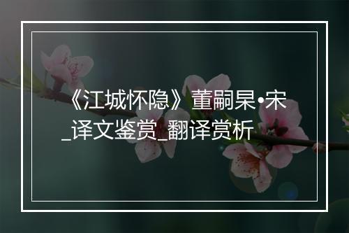 《江城怀隐》董嗣杲•宋_译文鉴赏_翻译赏析