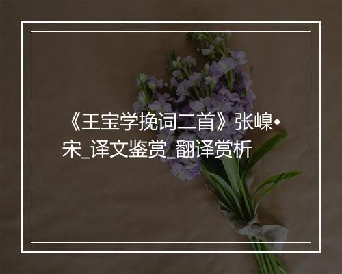 《王宝学挽词二首》张嵲•宋_译文鉴赏_翻译赏析