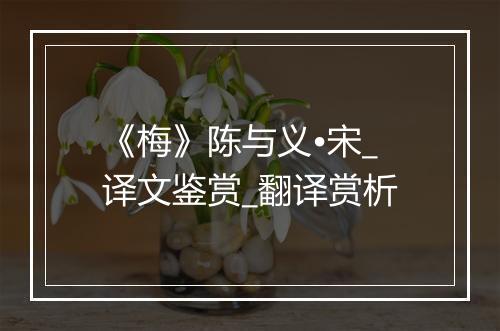 《梅》陈与义•宋_译文鉴赏_翻译赏析