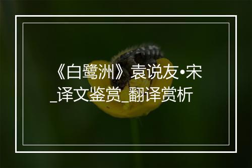 《白鹭洲》袁说友•宋_译文鉴赏_翻译赏析