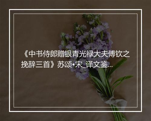 《中书侍郎赠银青光禄大夫傅钦之挽辞三首》苏颂•宋_译文鉴赏_翻译赏析