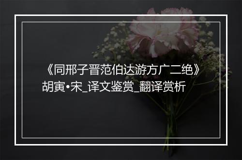 《同邢子晋范伯达游方广二绝》胡寅•宋_译文鉴赏_翻译赏析