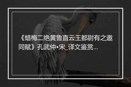 《蜡梅二绝黄鲁直云王都尉有之邀同赋》孔武仲•宋_译文鉴赏_翻译赏析