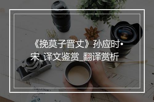 《挽莫子晋丈》孙应时•宋_译文鉴赏_翻译赏析