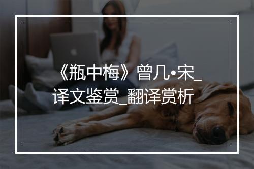 《瓶中梅》曾几•宋_译文鉴赏_翻译赏析