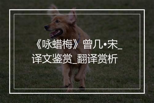 《咏蜡梅》曾几•宋_译文鉴赏_翻译赏析