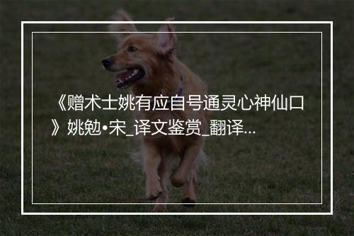 《赠术士姚有应自号通灵心神仙口》姚勉•宋_译文鉴赏_翻译赏析