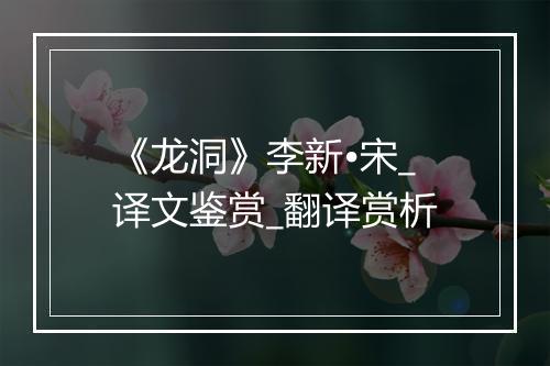 《龙洞》李新•宋_译文鉴赏_翻译赏析