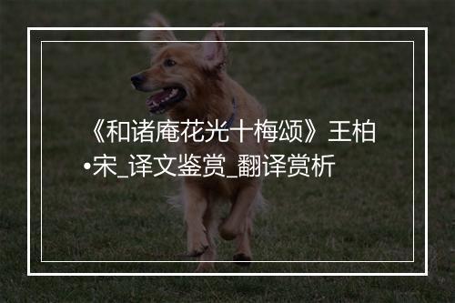 《和诸庵花光十梅颂》王柏•宋_译文鉴赏_翻译赏析