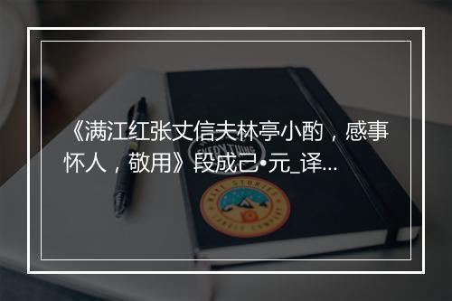 《满江红张丈信夫林亭小酌，感事怀人，敬用》段成己•元_译文鉴赏_翻译赏析