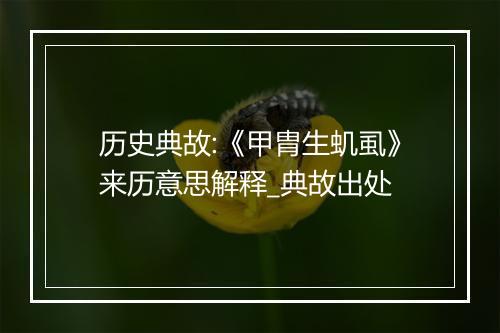 历史典故:《甲胄生虮虱》来历意思解释_典故出处