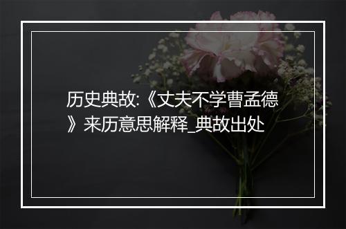 历史典故:《丈夫不学曹孟德》来历意思解释_典故出处