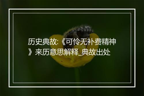 历史典故:《可怜无补费精神》来历意思解释_典故出处