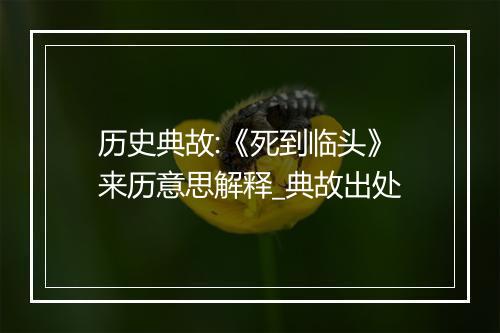 历史典故:《死到临头》来历意思解释_典故出处