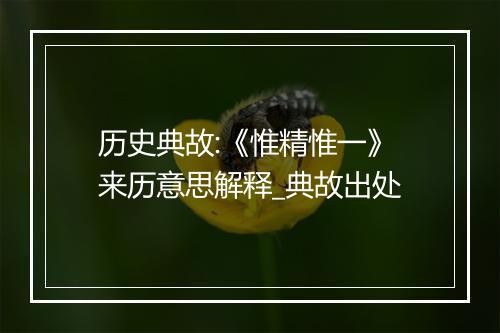 历史典故:《惟精惟一》来历意思解释_典故出处