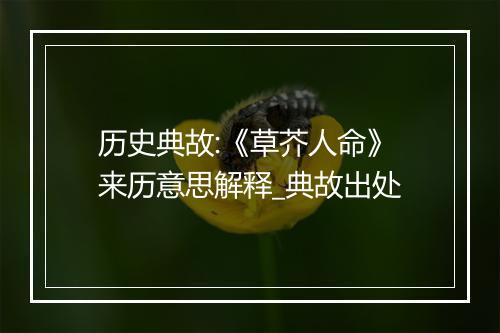 历史典故:《草芥人命》来历意思解释_典故出处