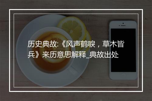 历史典故:《风声鹤唳，草木皆兵》来历意思解释_典故出处