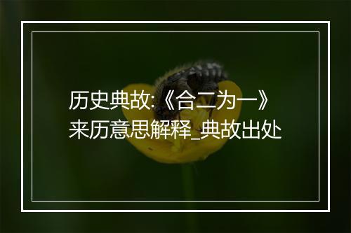 历史典故:《合二为一》来历意思解释_典故出处