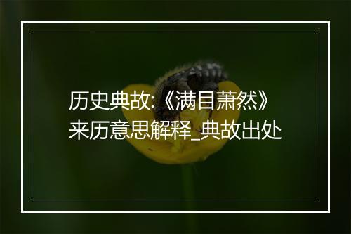 历史典故:《满目萧然》来历意思解释_典故出处