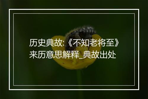 历史典故:《不知老将至》来历意思解释_典故出处