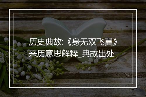 历史典故:《身无双飞翼》来历意思解释_典故出处