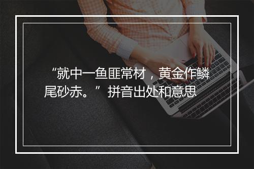 “就中一鱼匪常材，黄金作鳞尾砂赤。”拼音出处和意思